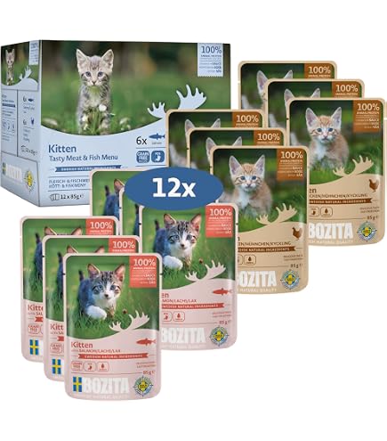 BOZITA Kitten Trockenfutter Getreidefrei – Hühnchen, 2 Kg Packung (2er Pack), Für Junge Katzen & Säugende Mütter