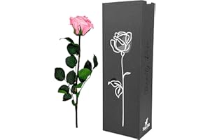 Moos Zeit KUNST DER NATUR Rosa Infinity Rose mit Stiel, echte konservierte Rose in Premium Geschenkbox - ewige Blume mit Rosenduft Haltbar bis zu 3 Jahre