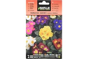Semillas Batlle Primavera JARDINES - PRIMULA
