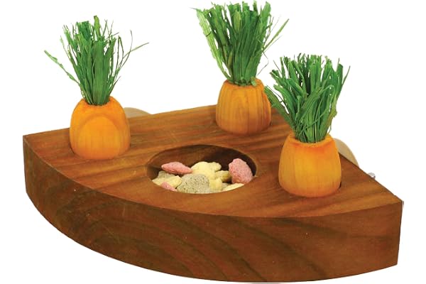 Rosewood Portecarottes et Friandises Toy 'n' Treat pour Petit Animal