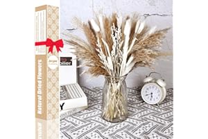 OYAYUBI Pampasgras Getrocknet, Exklusives Natürliche Trockenblumen Geschenkset mit Schilfblumen, DIY Trockene Blüten Strauß,Pampasgras-Bouquet Schilfblume Deko Ideal for Boho Wohnzimmer-Schlafzimmer