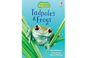 Tadpoles and Frogs (Beginners)