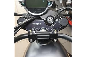labelbike - Naklejka 3D z żywicy Dekoracyjna i Ochronna na płytkę widelca Motocyklowego kompatybilna z Moto Guzzi V7 Stone i Special