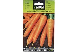 Semillas Batlle Carotte CHANTENAY Coeur Rouge 2