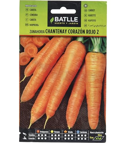 Lotto di 500 semi di carota gialla di Doubs - Varietà produttiva e dolce - Qualità di gusto eccezionale - Semi di carota riproducibili