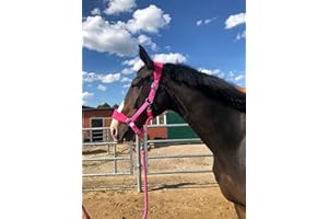 PFERDELINIS Cavezza imbottita a sangue freddo | Cavezza per cavalli xfull | con pile | Cavezza per cavalli nero | 2 posizioni regolabili (rosa, sangue caldo)