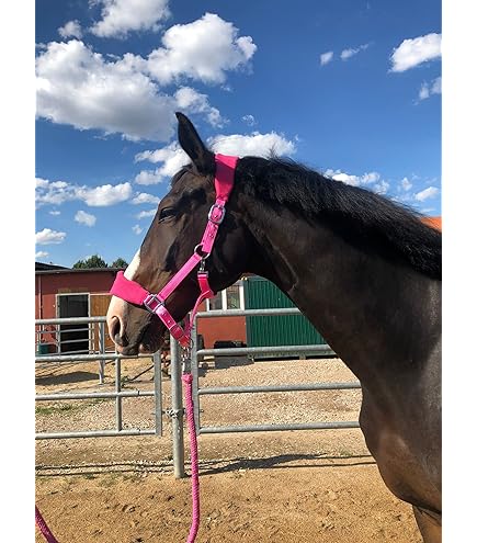 Cavezza Per Cavalli Equipride Con Lunghina - In Nylon E Finta Pelliccia, Motivo Cavallini, Regolabile, Colore Viola - Foto 6