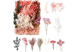 BOLOSA Natural Dried Flowers, Pressed Flowers Real Dried Pressed Flowers and Leaves Dried Flowers Set for Scrapbooking DIY Candle Resin Jewelry Crafts Card Making (Multicolor 2)
