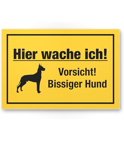 Metallschild 'Vorsicht Katze Kreuzung' – 30x30 Cm, Aluminium, Wetterfest, Mit Bohrungen Zur Befestigung