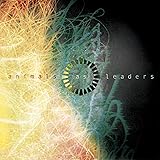 The Madness Of Many Animals As Leaders Amazon De Musik The Madness Of Many Animals As Leaders Amazon De Musik