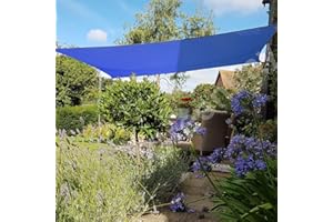 Green Bay Sun Shade Sail Outdoor Garden Patio Yard Party Sunscreen Awning Canopy 98% UV Block Rectangle Blue With Free Rope(3x2m)