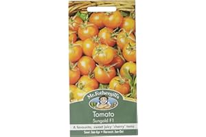 MR FOTHERGILLS Mr Fothergill's 14700 Vegetable Seeds, Tomato Sungold F1, Yellow