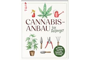 Cannabis-Anbau für Anfänger: Schritt für Schritt von der Aussaat bis zur Ernte