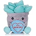 Swizzels Love Hearts 7" (18cm) "You Grow Girl" Succulent Flowerpot Plant Plush Soft Toy
