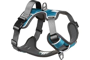 Embark Pets Adventure Dog Harness, No Pull Dog Harness with 2 Leash Clips, Medium Anti Pull Dogs Harnesses Front & Back with Control Handle, Adjustable, Soft & Padded