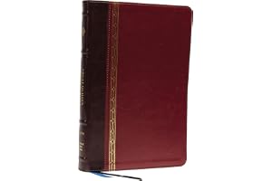 NRSVCE, Great Quotes Catholic Bible, Leathersoft, Burgundy, Comfort Print: Holy Bible