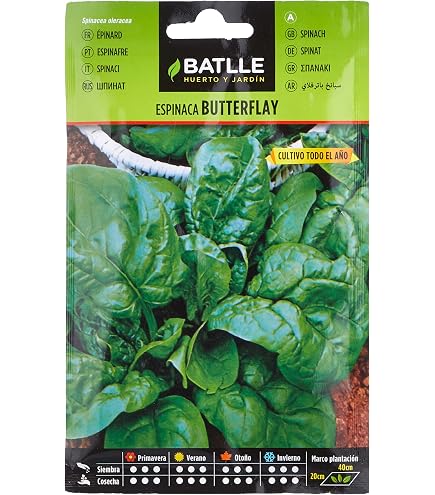 Poudre De Topinambour Bio 25 Kg - Complément Alimentaire Riche En Fibres, Marque Buxtrade