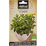 Semillas Batlle Menta - Eco
