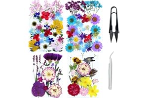Cayway 4 Paquete Naturales Flores Prensadas Secas, Naturales Flor Prensada Mezclada, DIY Flores Secas Prensadas para Resina Scrapbooking, Joyería de Resina Epoxi, Estilo C