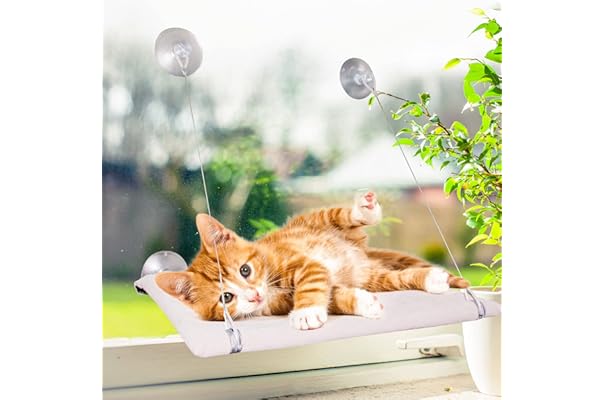 cat window perch suction cups