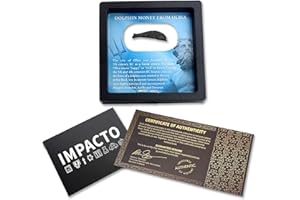 IMPACTO COLECCIONABLES | Moneda Delfín Auténtica de la Antigua Grecia – Rara Emisión del Siglo V-IV a.C. en Marco Expositor y con Certificado de Autenticidad