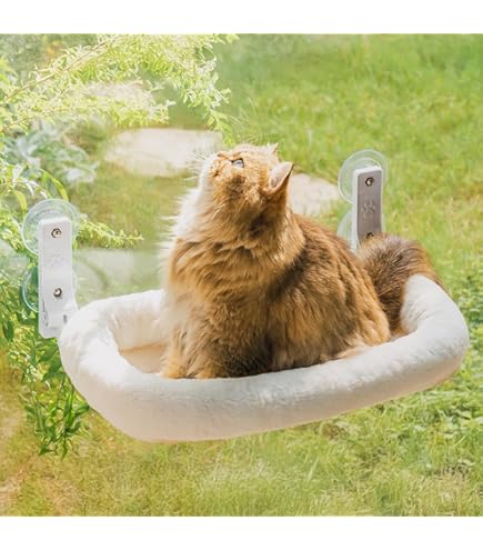 Saugnapf Für Katzenfensterstange 4-tlg. - PVC Saugnäpfe Bis 20 Kg