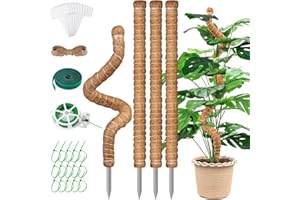 VEVOQIM Pflanzenstütze, 4 Stück 65CM Monstera Rankhilfe,Pflanzstab Rankhilfen für Kletterpflanzen,Biegsame moosstab für Monstera,Natürlicher Kokosstab mit Zubehör von Zimmerpflanzen