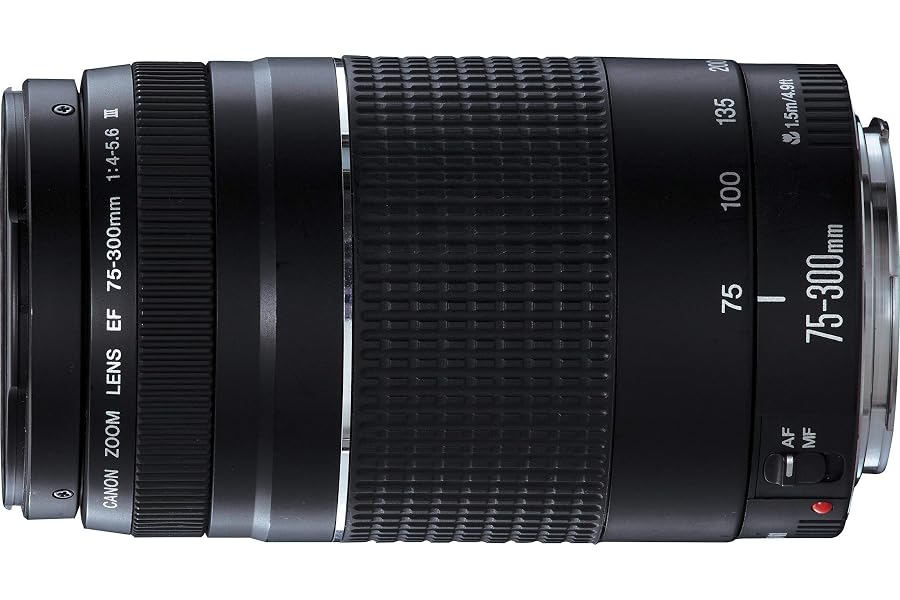 Canon EF 75-300mm f/4.0-5.6 III Lens (Generalüberholt)
