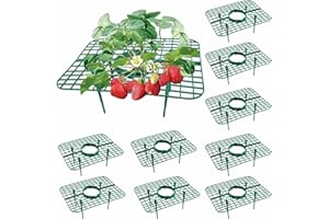 LSRVNM 10 Stück Erdbeeren Reifer Unterstützung, Balkon Erdbeernetze, Schneckenschutz am Hochbeet für Erdbeerpflanzen, Erdbeergitter vor Fäulnis Schimmel für Treibhaus Erdbeer Topfpflanzen
