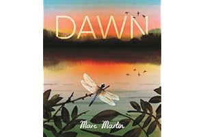 Dawn: Watch the World Awaken