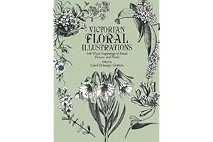 Victorian Floral Illustrations: 344 Wood Engravings of Exotic Flowers and Plants (Dover Pictorial Archive)