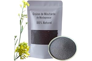 MON EPICERIE FINE GOURMET Mon Epicerie Fine. Graine de Moutarde bunes et noires de Madagascar - Selection gourmet, 100% Naturel - 100g Sachet fermeture ZIP