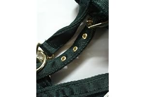IV Horse Premium Soft Web Headcollar (Pony, Green)