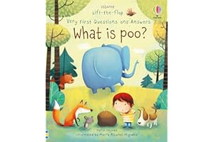 What is Poo? (Very First Lift-the-Flap Questions and Answers) (Very First Lift-the-Flap Questions & Answers): 1 (Very First Questions and Answers)