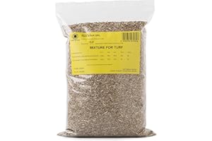 R&R SHOP - Graines pour gazon résistant, ray-grass, croissance rapide et praticable à pied, adaptées à tous types de terrains (500gr - 20mq)