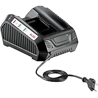 AL-KO 113281 Ladegerät 40 V / 3 A, schwarz, 22.5x13x22.5 cm