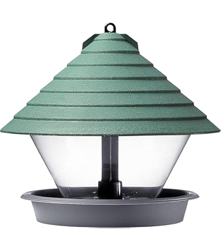 Mangeoire Oiseaux Extérieur à Suspendre Pour Oiseaux Sauvages En Bois Massif Toit Vert