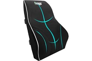 Feagar Poduszka lędźwiowa – poduszka pod plecy z pianki z pamięcią kształtu, na krzesło biurowe i sofę, poduszka podpierająca plecy, do biura i domu, czarna