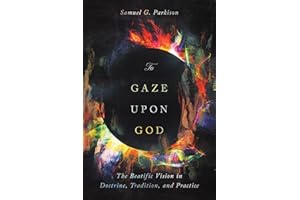 To Gaze upon God: The Beatific Vision in Doctrine, Tradition, and Practice