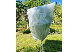 GARDEN TAILOR Pflanzen Winterschutz Frostschutz for Kübelpflanzen: 70g/m² B80 x H100 cm überwinterungszelt Pflanzenschutz mit Reißverschluss für Olivenbaum Palmen Reißfest Atmungsaktiv Waschbar UV Stabil Beige