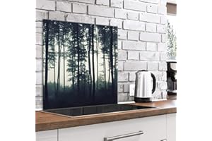 murando Panel de Vidrio para Cocina 60x60 cm Vidriopanel Protector Pantalla Antisalpicaduras Salpicadero con Gráfica Panel Decorativo Motivo Naturaleza Bosque Niebla - c-B-0501-aq-a