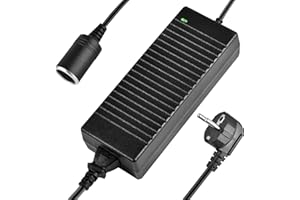 Shentian Enchufe para Encendedor de Cigarrillos para Automóvil, Adaptador de AC a DC, 100V-240V a 12V 10A Convertidor de Cargador de Automóvil (12V 10A Convertidor)