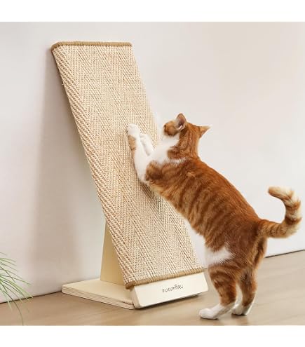 Giochi Interattivi Per Gatti Giocattolo Intelligente Per Gatti - 5