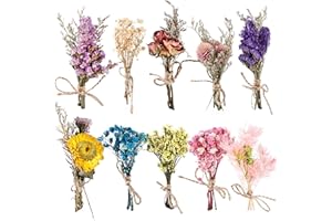 NIZIRIOO Lot de 10 Mini Bouquets de Fleurs Séchées Naturelles, Mini Fleurs Séchées, Bouquet de Fleurs Sechees, Mélange de Fleurs Séchées Naturelles pour Loisirs Créatifs Décoration D'intérieur (A)