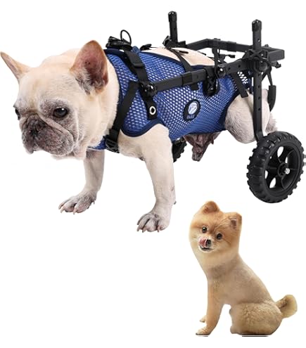 KROITY Hond Rolstoel Volledige Ondersteuning Rolstoel Voor Grote Benen Brace Voor Honden Terug Been Wandelen Wielen Oude Hond Rolstoel Hind Benen Revalidatie