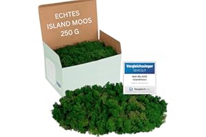 Mia Milano Islandmoos konserviert dunkelgrün | Moos Deko zum Basteln | 250g Echtes dunkelgrünes Dekomoos Isländisch für Moosbild | Mooswand lebend