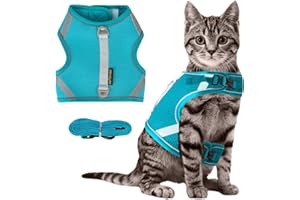 EASY JOY Arnes Gato Anti-escap, Ajustable Arnés para Gato, Tiras Reflectantes de Borde Completo Que Brindan Protección para Gatos Que Caminan de Noche (M, Verde)
