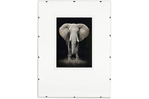 POSTERGALERIA Marco del cartel | Muchos tamaños | Bueno para sala de estar, acrílico, transparente, 1 Stück 70x100