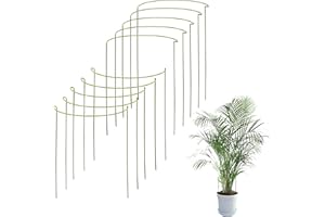 ODOXIA Pack De 10 Soporte Plantas | para Plantas Y Flores Altas | Jaula De Soporte | Ayuda A Sus Plantas A Crecer | Jaula De Tomatera para Jardín | Varillas para Hortensias, Peonías y Más