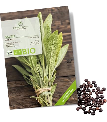 Sperli Salbeisamen SPERLI's Allerlei 84592 - Intensives Aroma, Ideal fr  Fleischgerichte & Tee, Krutersamen, Salbei Samen, mehrjhrig, Heilpflanze,  aromatisch, keimfhig, fr Freiland & Hochbeet : Amazon.de: Garten